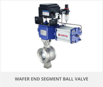 wafer-end-segment-ball-value